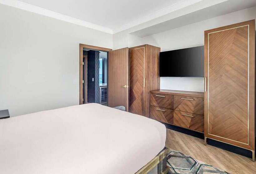 اتاق استاندارد با تخت بزرگ, Millennium Hilton New York One Un Plaza