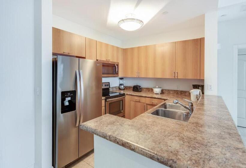 سوییت, Dadeland Towers By Miami Vacations