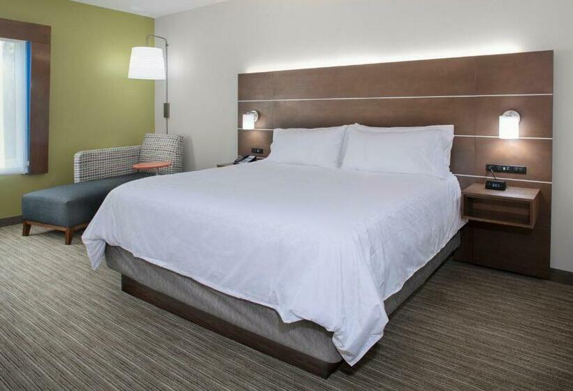 اتاق استاندارد با تخت بزرگ, Holiday Inn Express & Suites  King George  Dahlgren