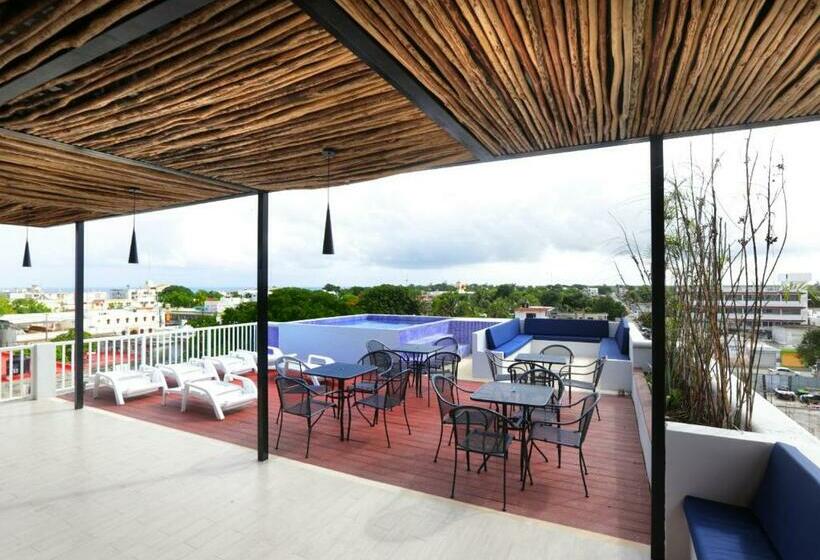 اتاق استاندارد, Pal Cozumel