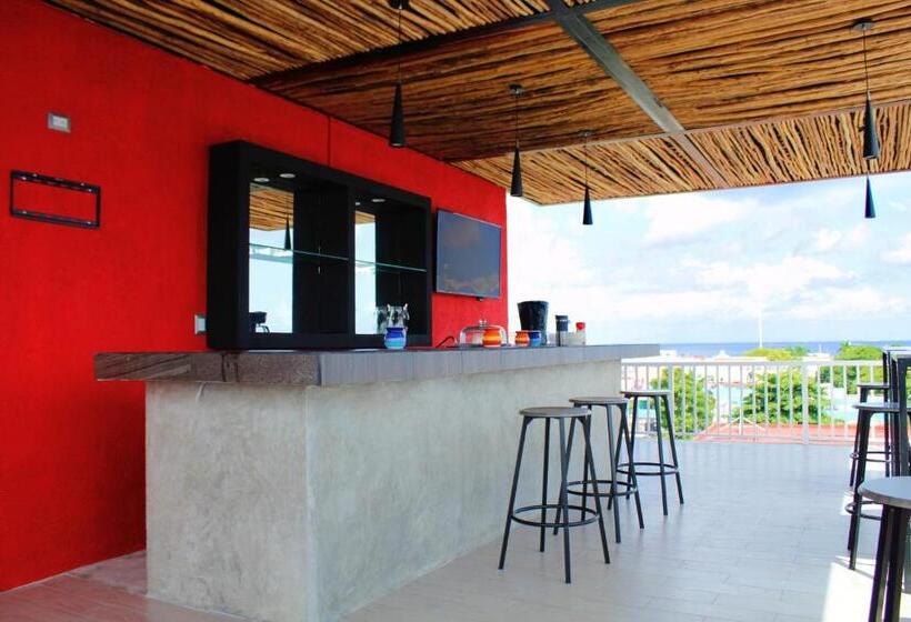 اتاق استاندارد, Pal Cozumel