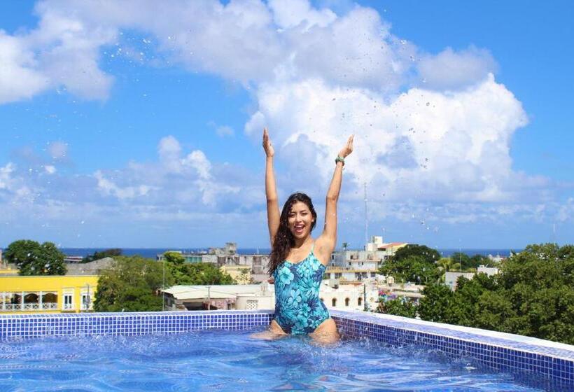 اتاق استاندارد, Pal Cozumel