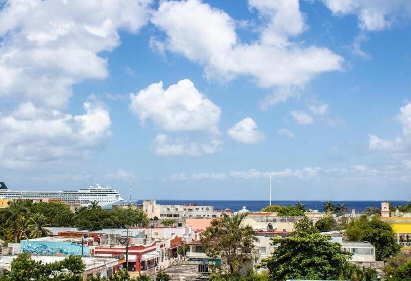 اتاق استاندارد, Pal Cozumel
