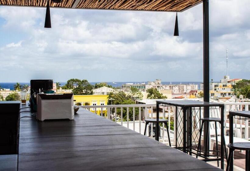 اتاق استاندارد, Pal Cozumel