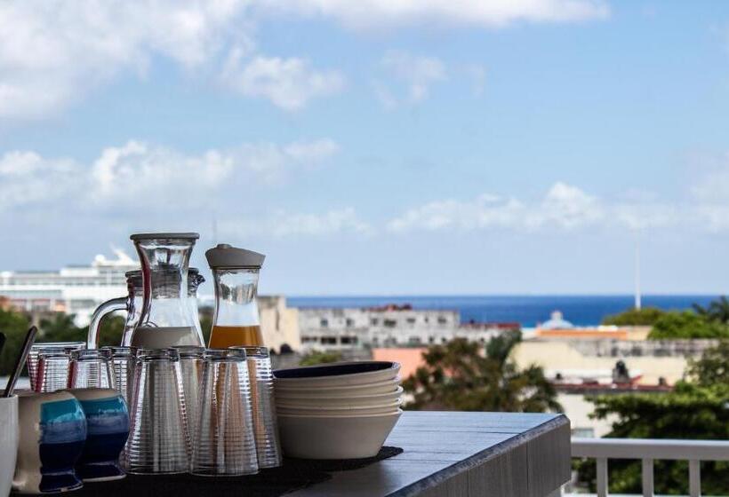 اتاق استاندارد, Pal Cozumel