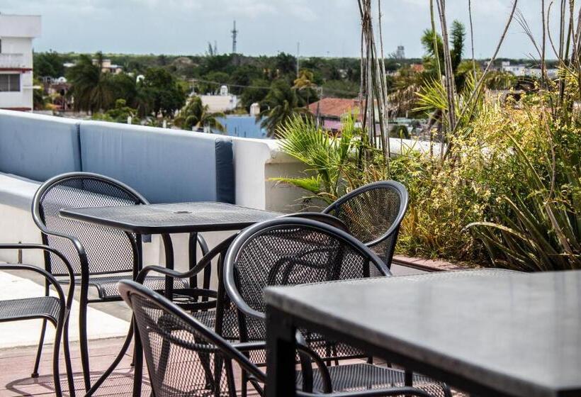 اتاق استاندارد, Pal Cozumel