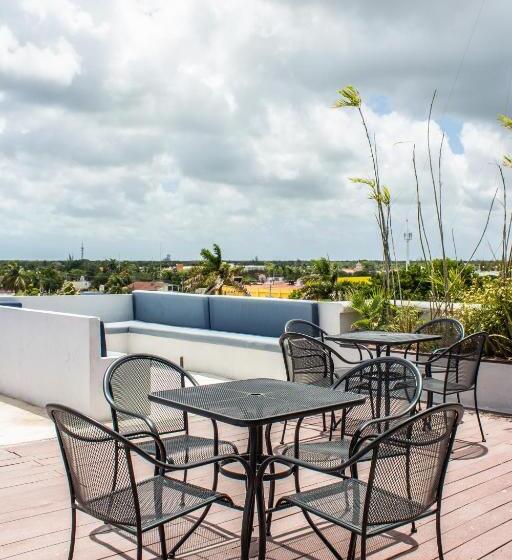 اتاق استاندارد, Pal Cozumel