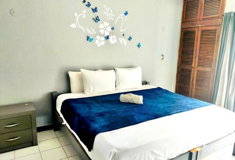 سوییت, Pal Cozumel