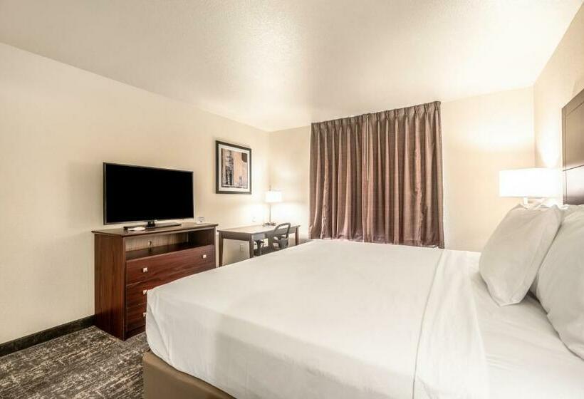 اتاق استاندارد با تخت بزرگ برای معلولان, Cobblestone Hotel & Suites   Newport