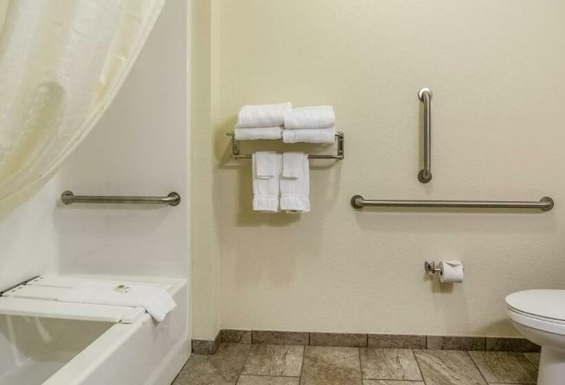 اتاق استاندارد با تخت بزرگ برای معلولان, Cobblestone Hotel & Suites   Newport