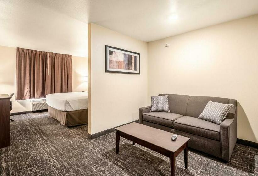 استودیوی استاندارد, Cobblestone Hotel & Suites   Newport