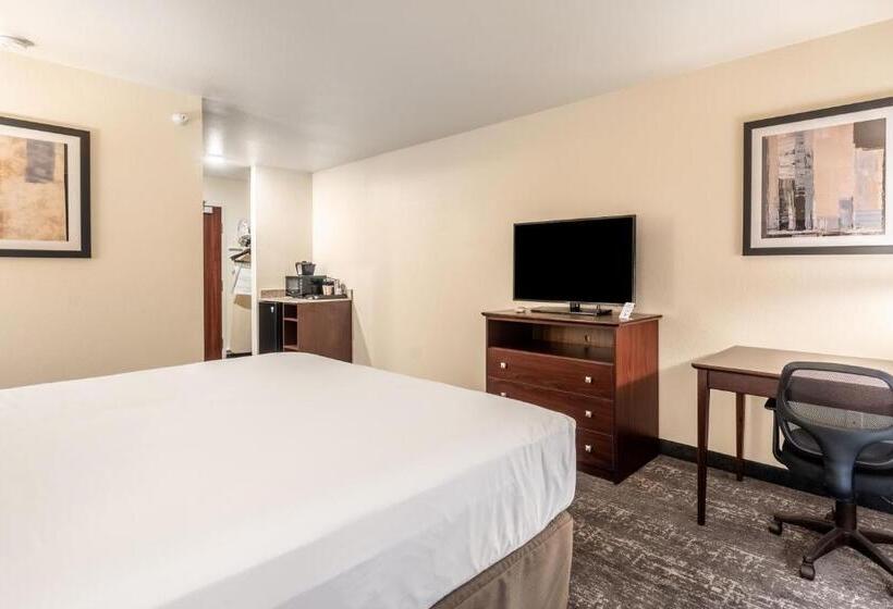 اتاق استاندارد با تخت بزرگ, Cobblestone Hotel & Suites   Newport