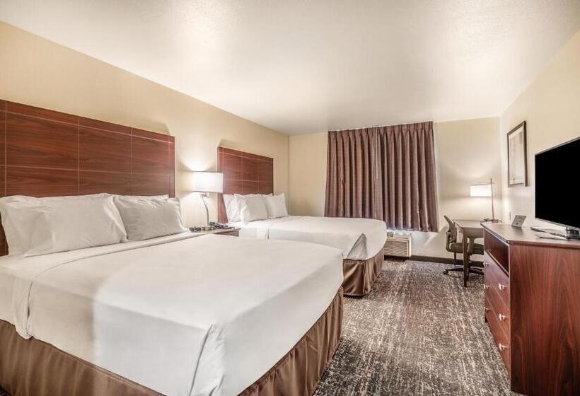 اتاق استاندارد, Cobblestone Hotel & Suites   Newport