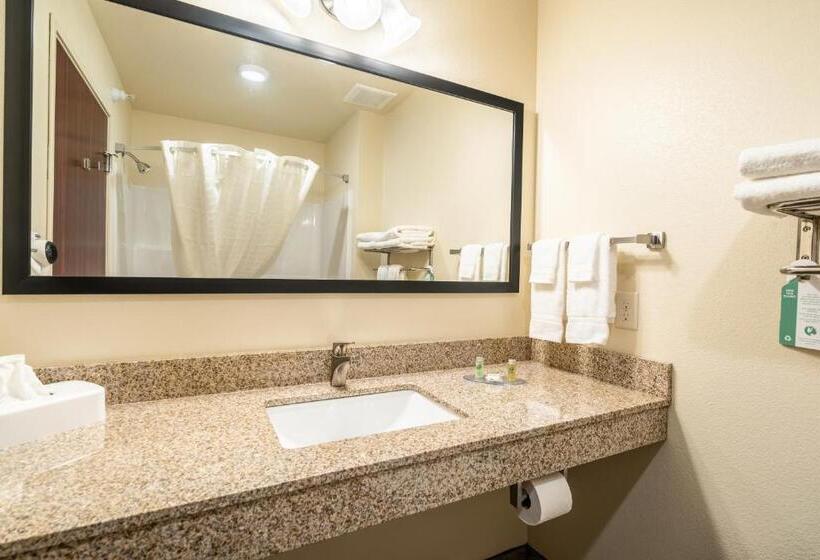 استودیوی استاندارد, Cobblestone Hotel & Suites   Newport