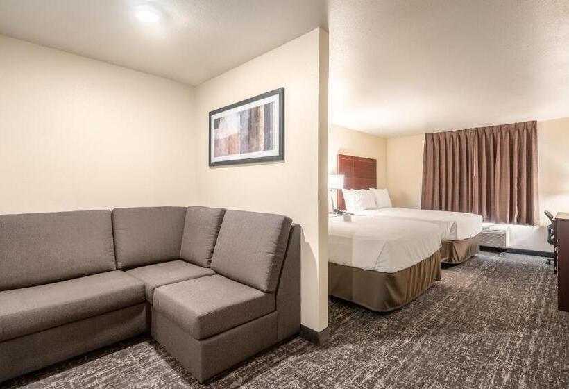 استودیوی استاندارد, Cobblestone Hotel & Suites   Newport