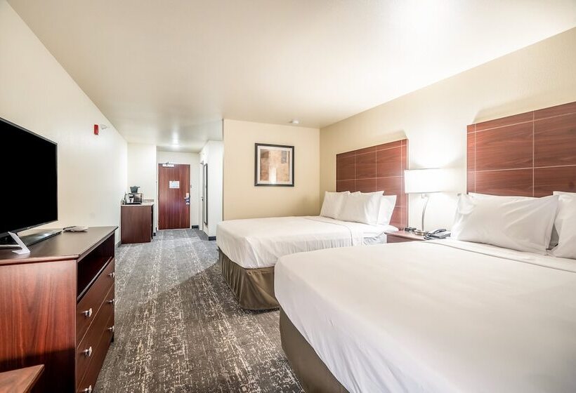 استودیوی استاندارد, Cobblestone Hotel & Suites   Newport