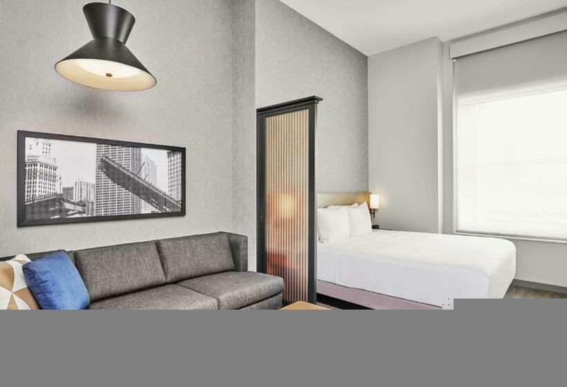 اتاق استاندارد با تخت بزرگ, Hyatt Place Chicago Medical/university District