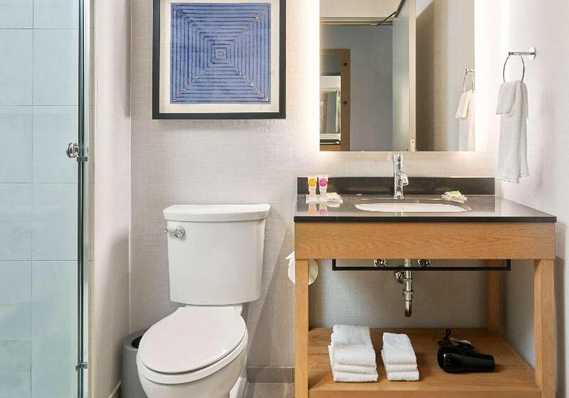 اتاق استاندارد با تخت بزرگ, Hyatt Place Chicago Medical/university District