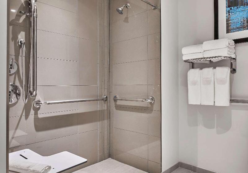 اتاق استاندارد با تخت بزرگ, Hyatt Place Chicago Medical/university District