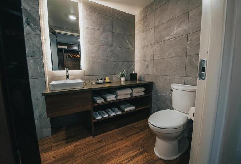 اتاق دلوکس با تخت کینگ و چشم‌انداز شهر, Voco Saranac Lake Ny Waterfront, An Ihg