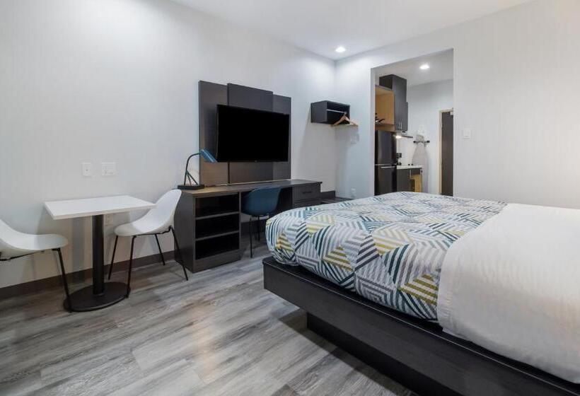 اتاق لوکس با تخت بزرگ, Studio 6 Katy, Tx