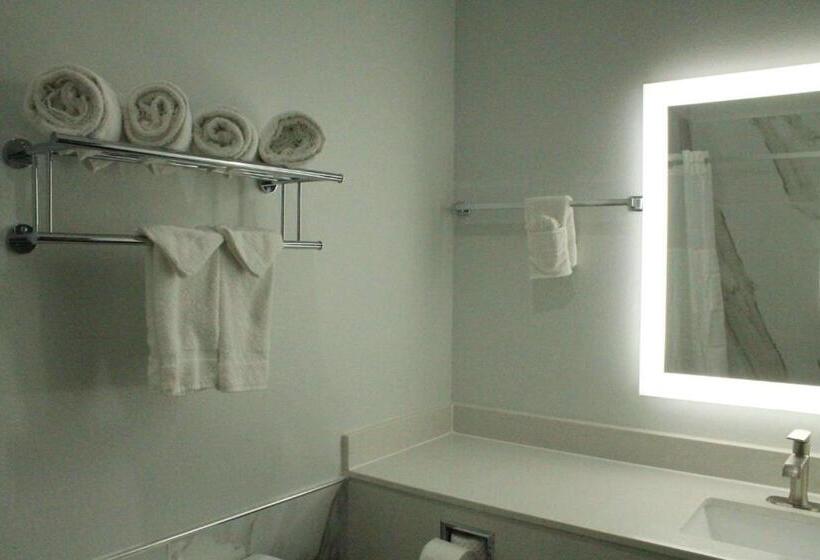 اتاق استاندارد برای معلولان, Studio 6 Katy, Tx