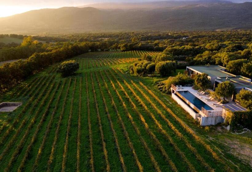ویلای 1 خوابه, Domaine De Peretti Della Rocca