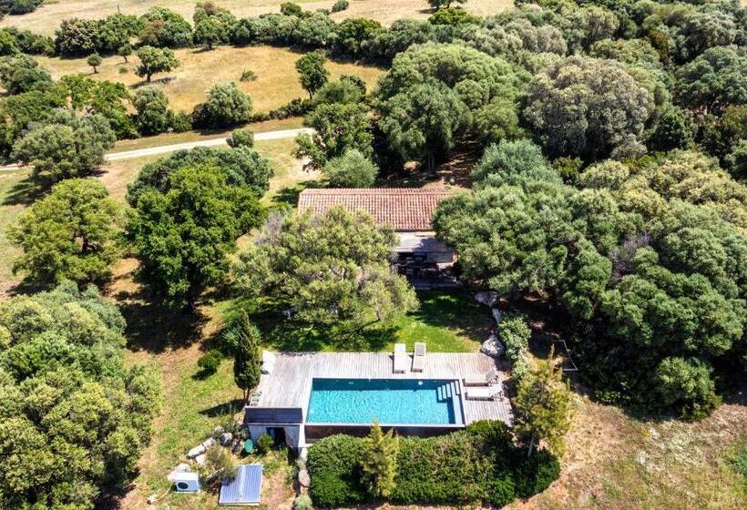 ویلای 1 خوابه, Domaine De Peretti Della Rocca
