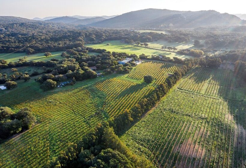 اتاق لوکس, Domaine De Peretti Della Rocca