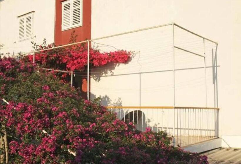 اتاق استاندارد با چشم‌انداز دریا, Rooms Vinka Tudor