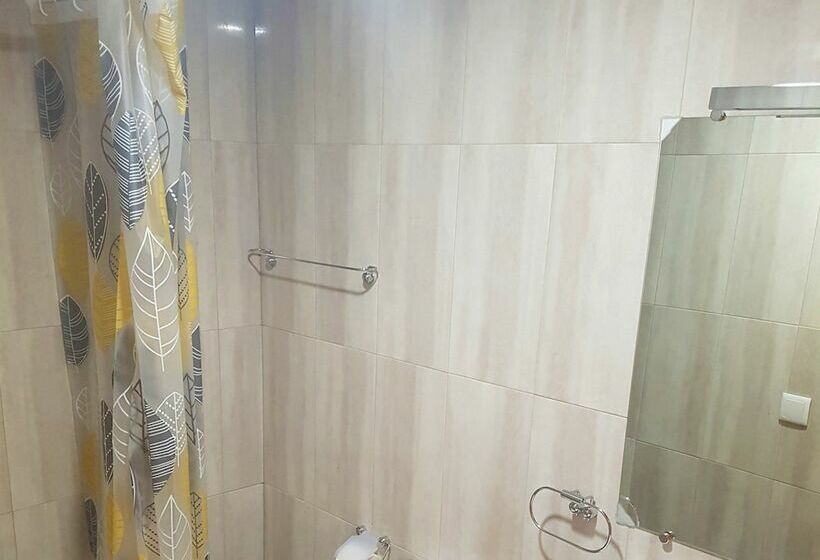 اتاق استاندارد یک نفره, El Roble Hotel Restaurante