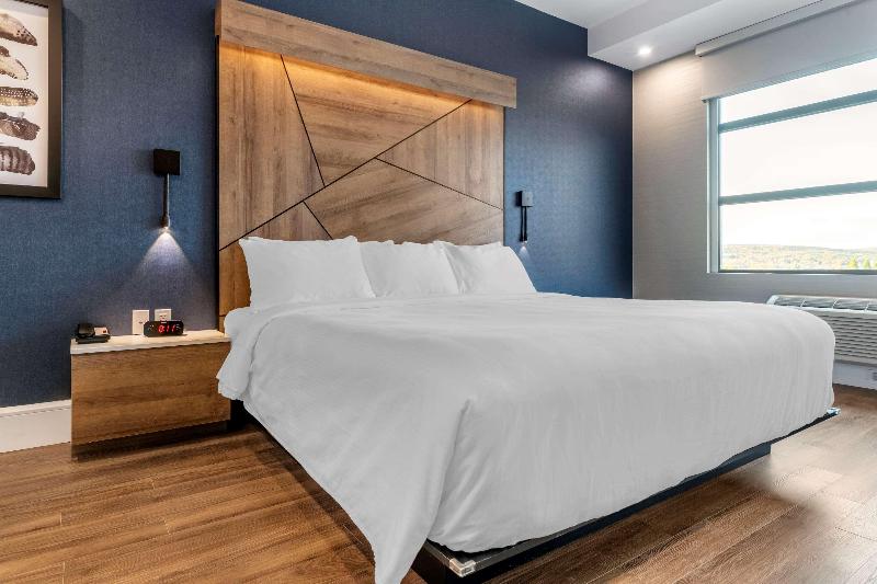 سوئیت با تخت بزرگ, Quality Hotel & Conference Centre