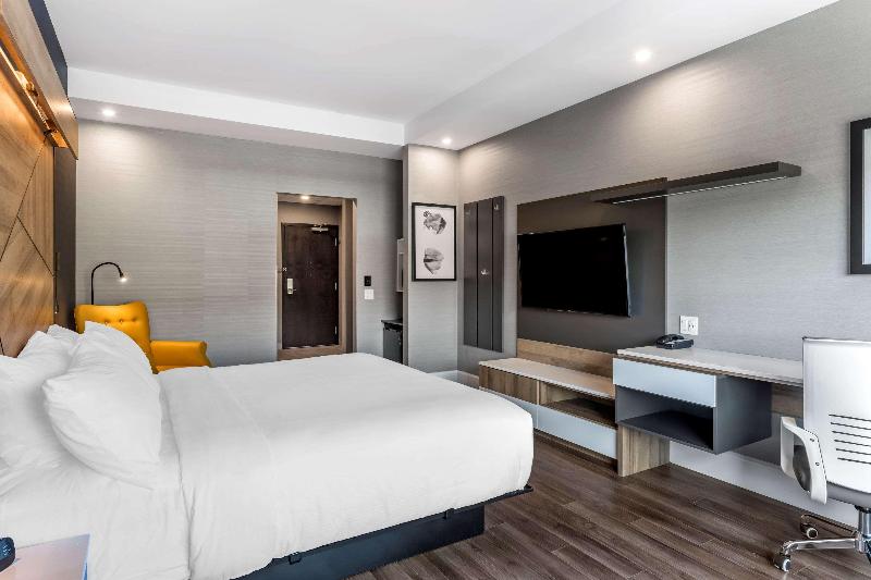 اتاق استاندارد با تخت بزرگ, Quality Hotel & Conference Centre
