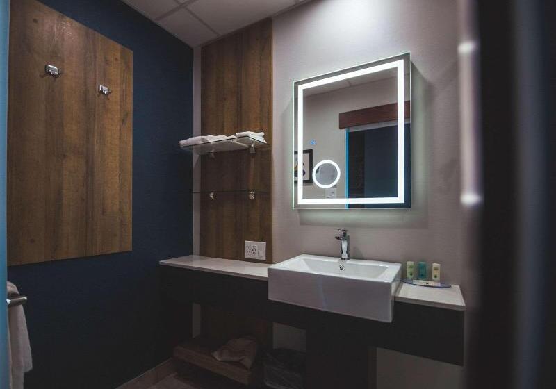 اتاق استاندارد با تخت بزرگ, Quality Hotel & Conference Centre
