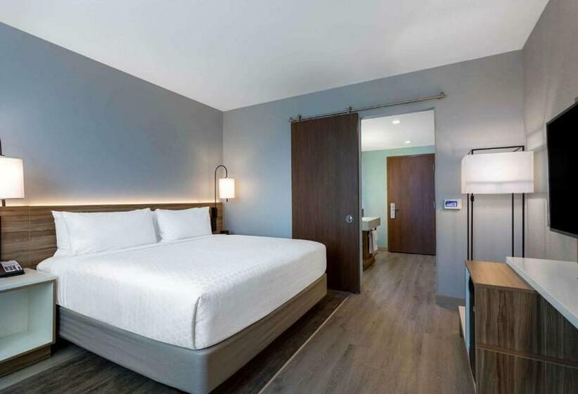 اتاق استاندارد با تخت بزرگ, Wyndham Garden Miami International Airport