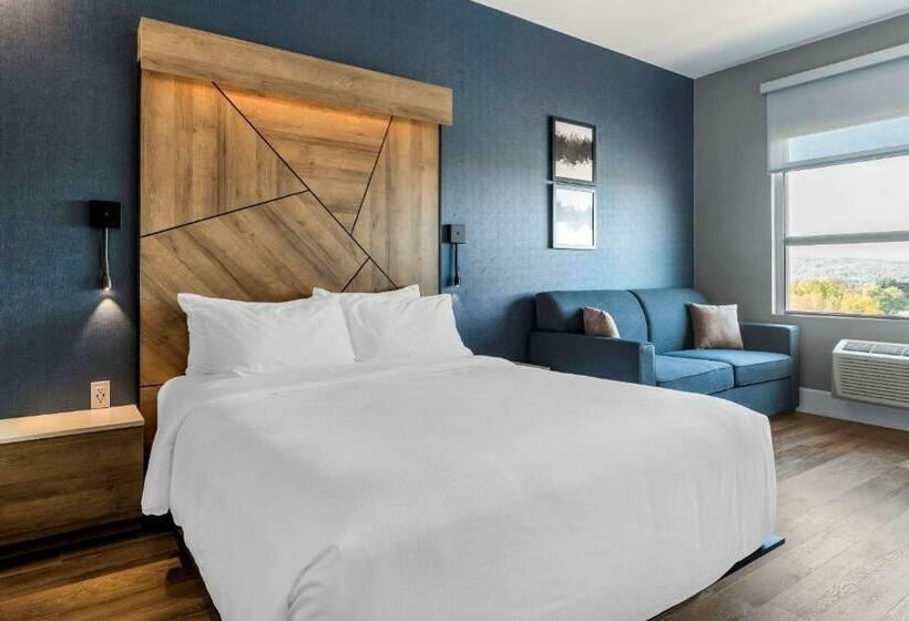 اتاق استاندارد, Quality Hotel & Conference Centre