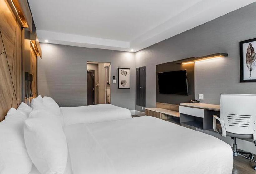 اتاق استاندارد با 2 تخت دوبل, Quality Hotel & Conference Centre