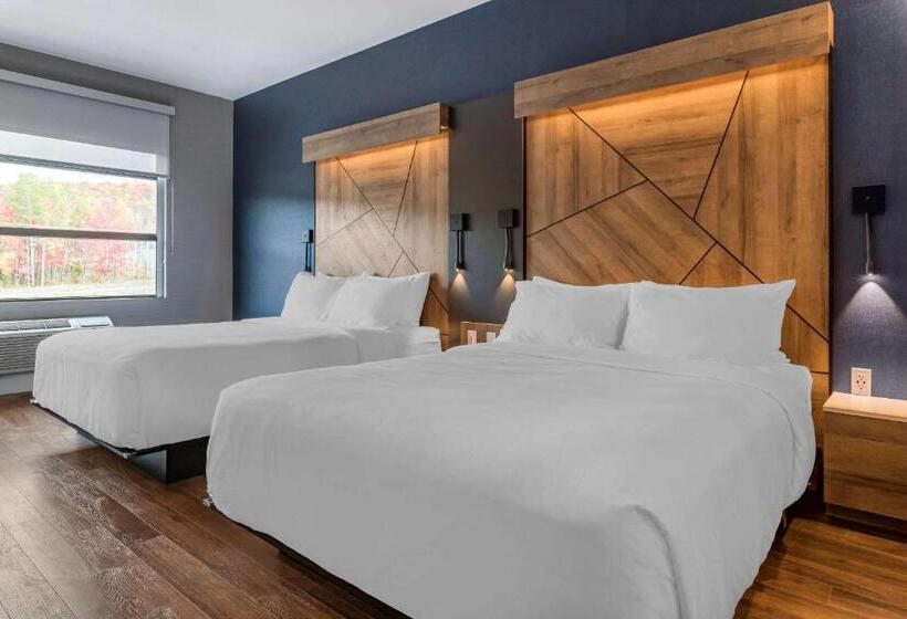 اتاق استاندارد با 2 تخت دوبل, Quality Hotel & Conference Centre