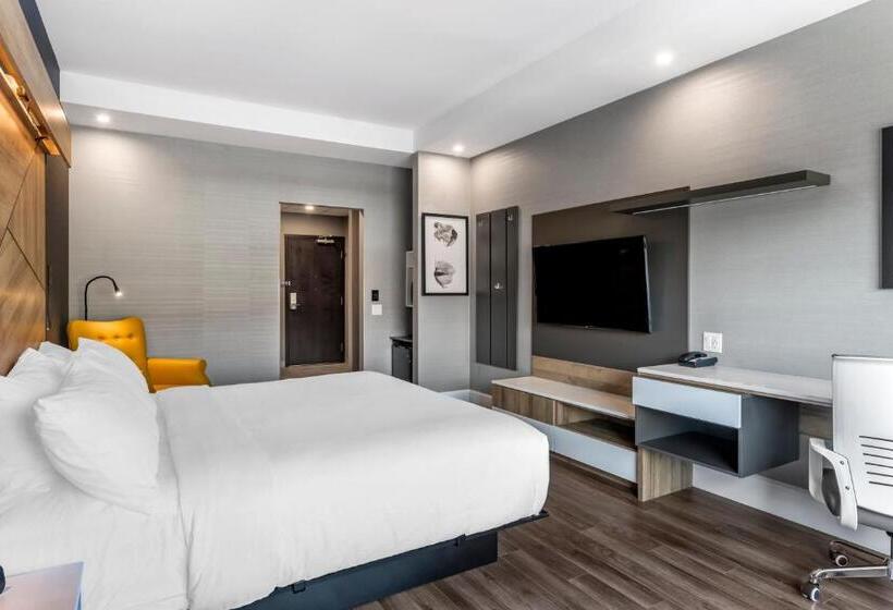 اتاق استاندارد با تخت بزرگ, Quality Hotel & Conference Centre