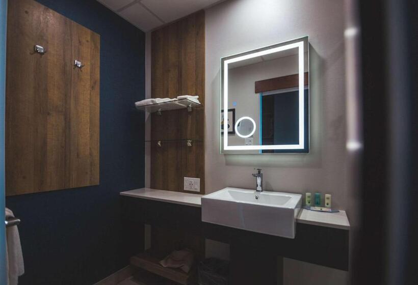 اتاق استاندارد با تخت بزرگ, Quality Hotel & Conference Centre