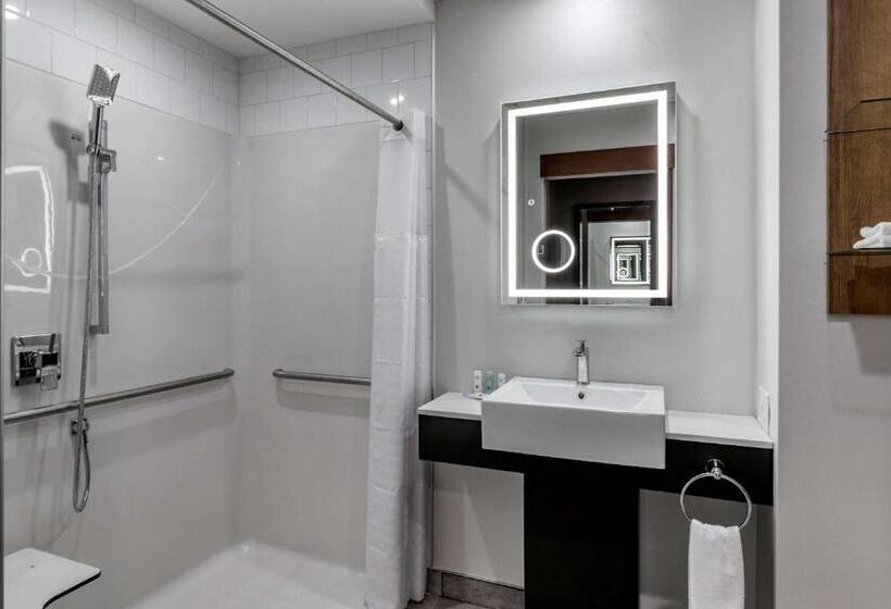 اتاق استاندارد با تخت بزرگ, Quality Hotel & Conference Centre