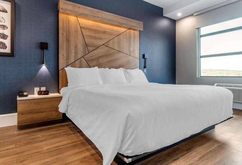 سوئیت با تخت بزرگ, Quality Hotel & Conference Centre