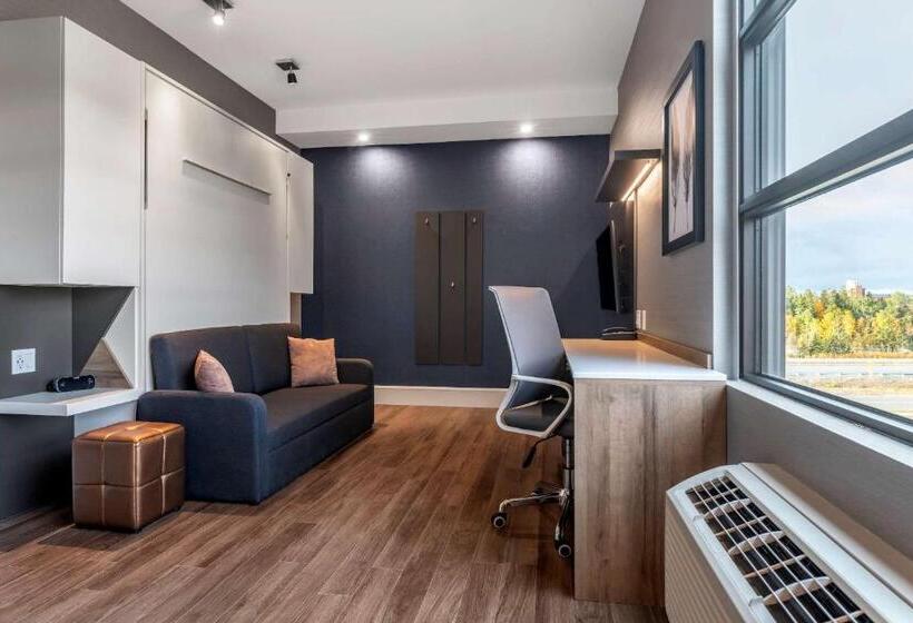 سوئیت با تخت بزرگ, Quality Hotel & Conference Centre