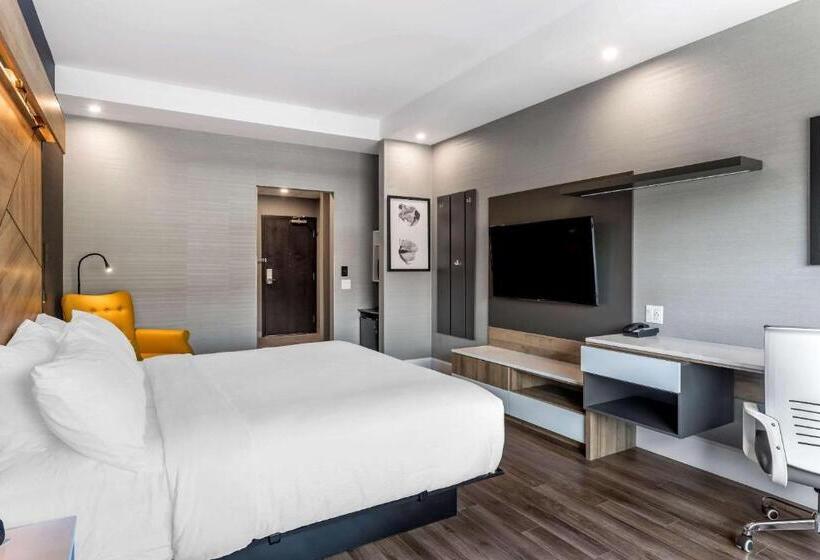 اتاق استاندارد با تخت بزرگ برای معلولان, Quality Hotel & Conference Centre