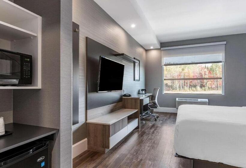 اتاق استاندارد با تخت بزرگ برای معلولان, Quality Hotel & Conference Centre