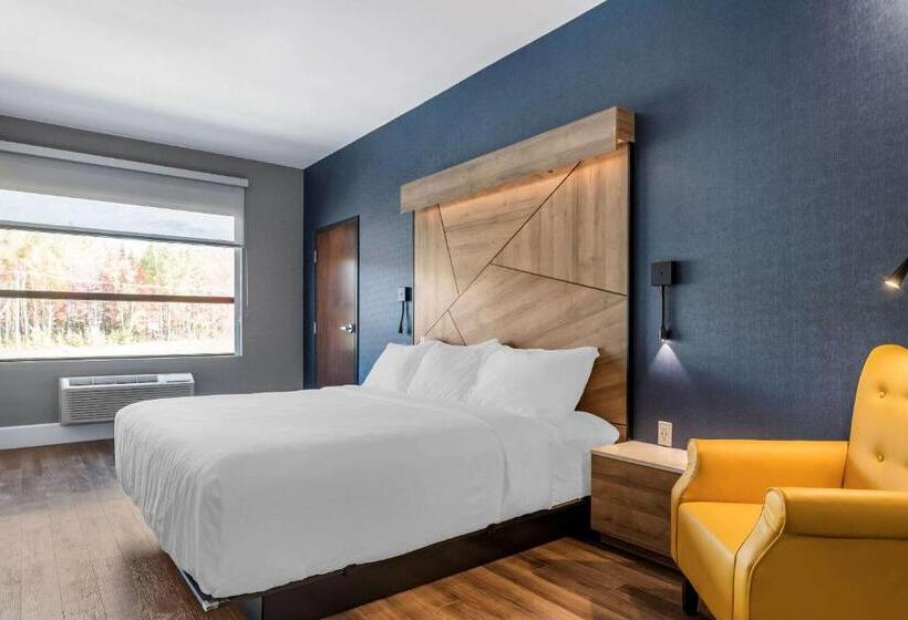 اتاق استاندارد با تخت بزرگ برای معلولان, Quality Hotel & Conference Centre