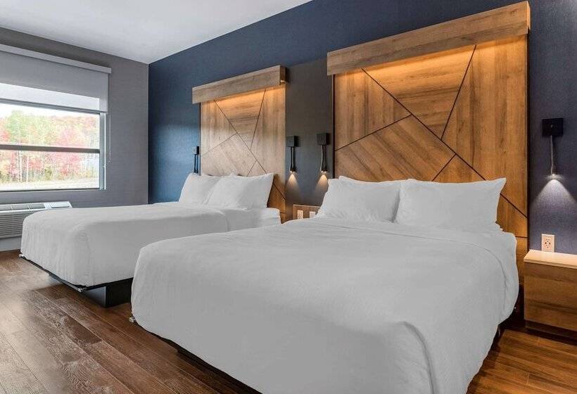 اتاق استاندارد با 2 تخت دوبل, Quality Hotel & Conference Centre