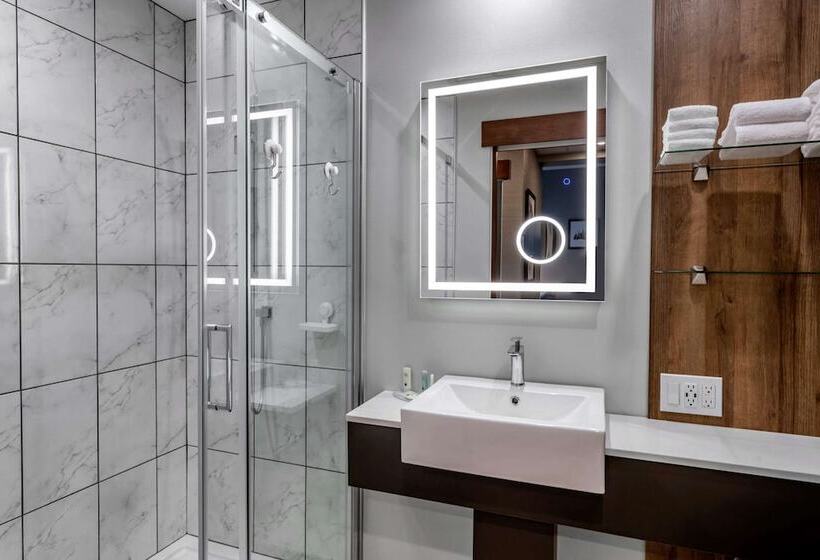اتاق استاندارد با 2 تخت دوبل, Quality Hotel & Conference Centre