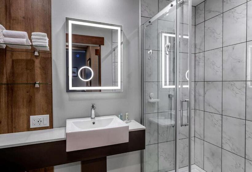 اتاق استاندارد با تخت بزرگ, Quality Hotel & Conference Centre
