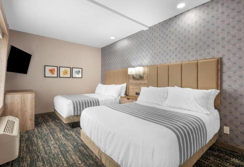 سوییت, Best Western Premier Executive Residency Medicine Hat